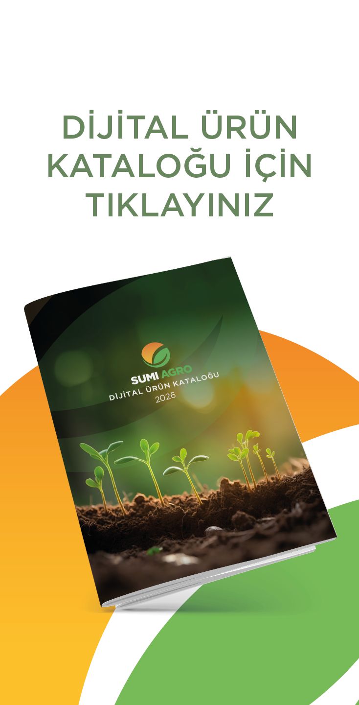 Kataloğu Görüntüle