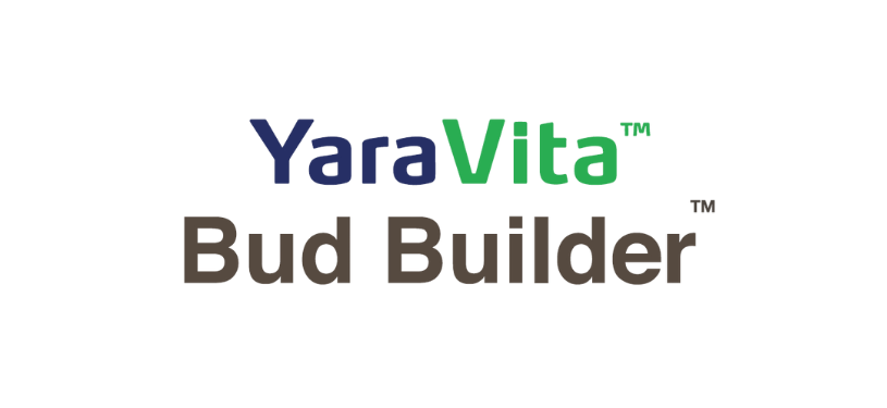 Antep Fıstığında Doğru G&uuml;breleme: Bilimin Işığında Yaprak Beslemenin &Ouml;nemi