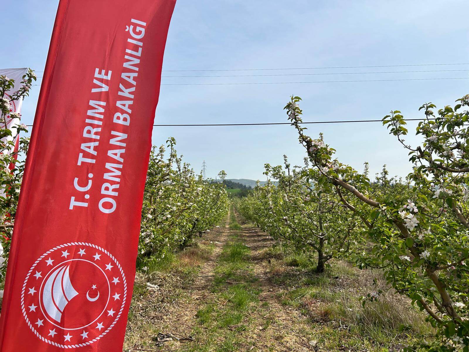 Isocod-C ile Biyoteknik M&uuml;cadele Sahada