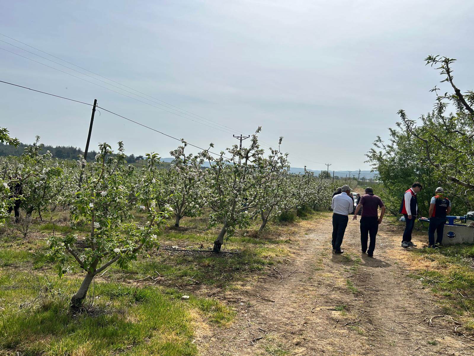 Isocod-C ile Biyoteknik M&uuml;cadele Sahada