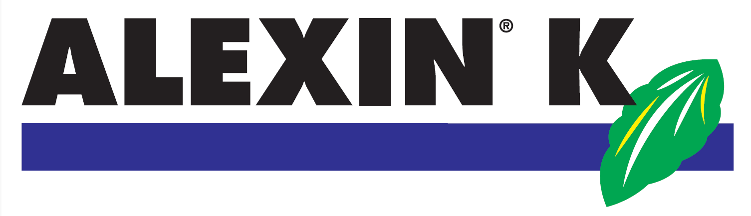 ALEXIN K 
