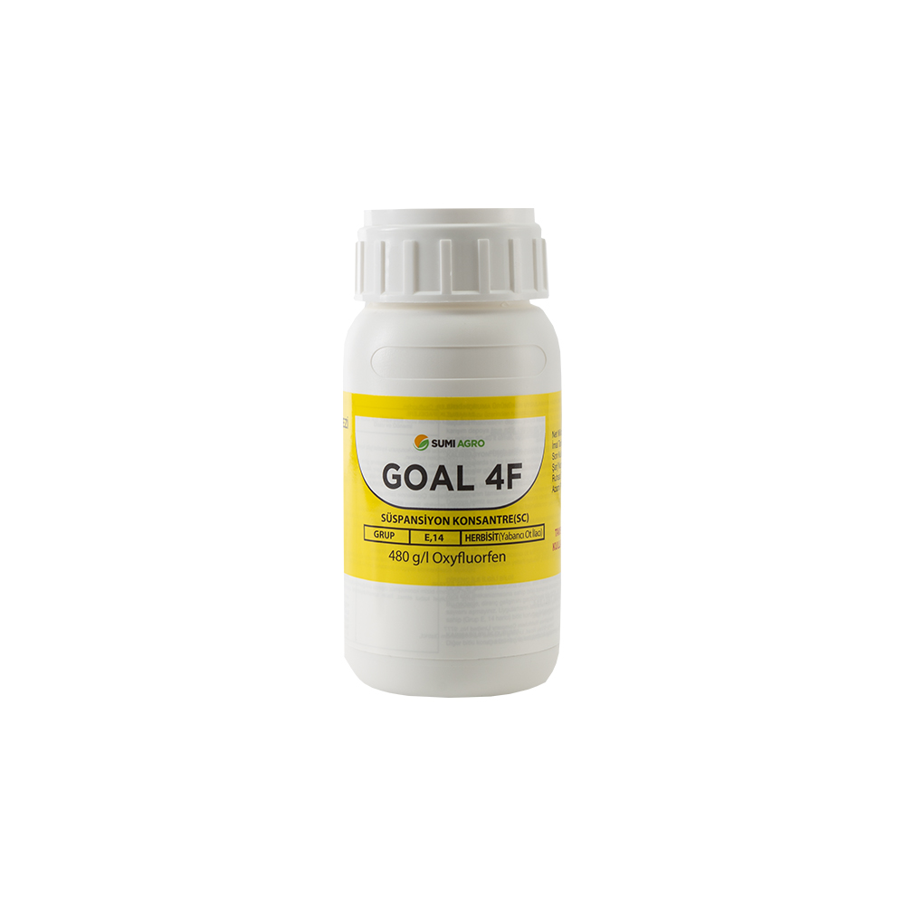 GOAL 4F