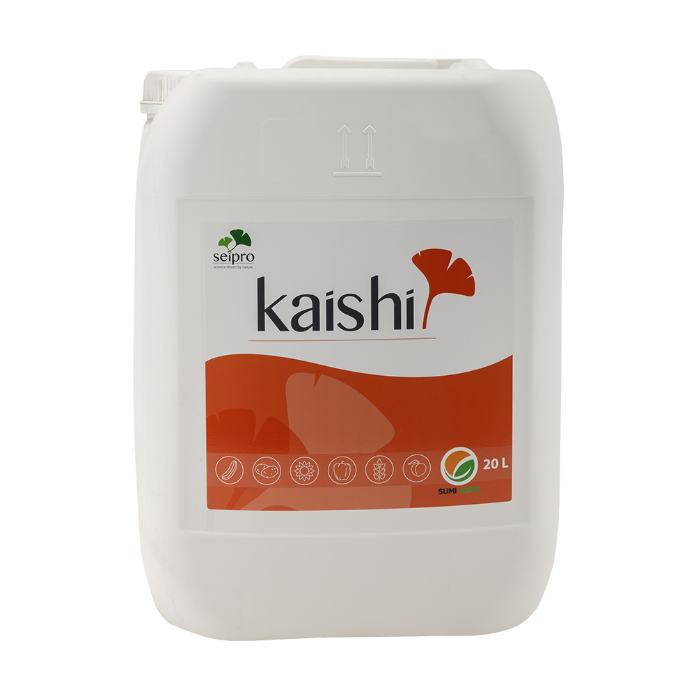 KAISHI 