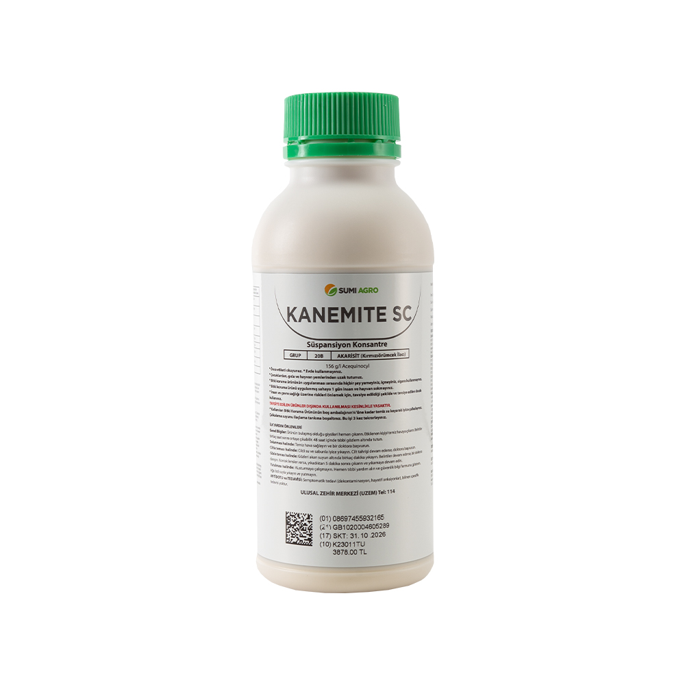 KANEMITE